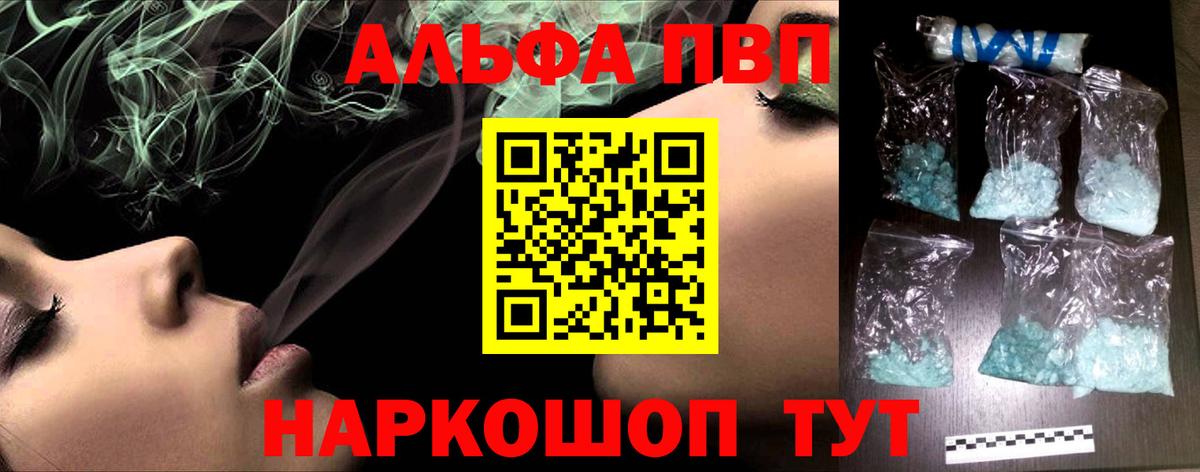Alfa_PVP СК Сегежа