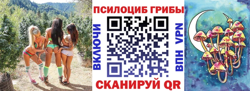 купить  сайты  Сегежа  Псилоцибиновые грибы GOLDEN TEACHER 