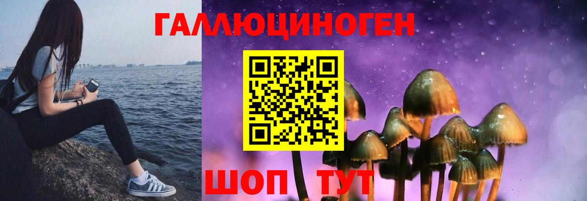 Сегежа  Галлюциногенные грибы MAGIC MUSHROOMS  Вход с VPN 